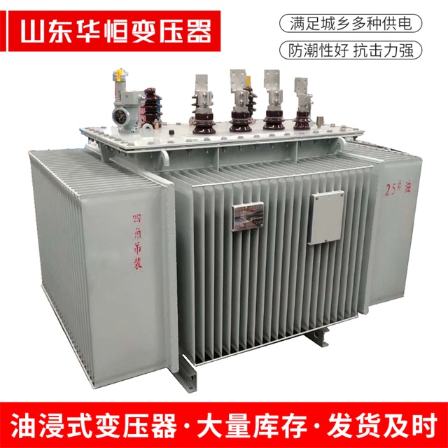 S13-10000/35城步城步城步电力变压器厂家